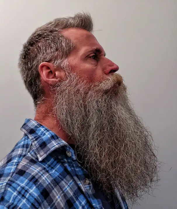 20 Long Beard Hairstyles for Men with Serious Style 12 The Grey Profile Beard