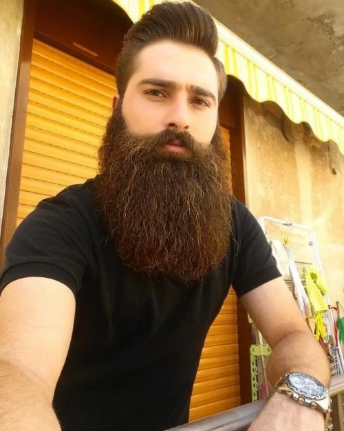 20 Long Beard Hairstyles for Men with Serious Style 14 The Auburn Quiff and Beard