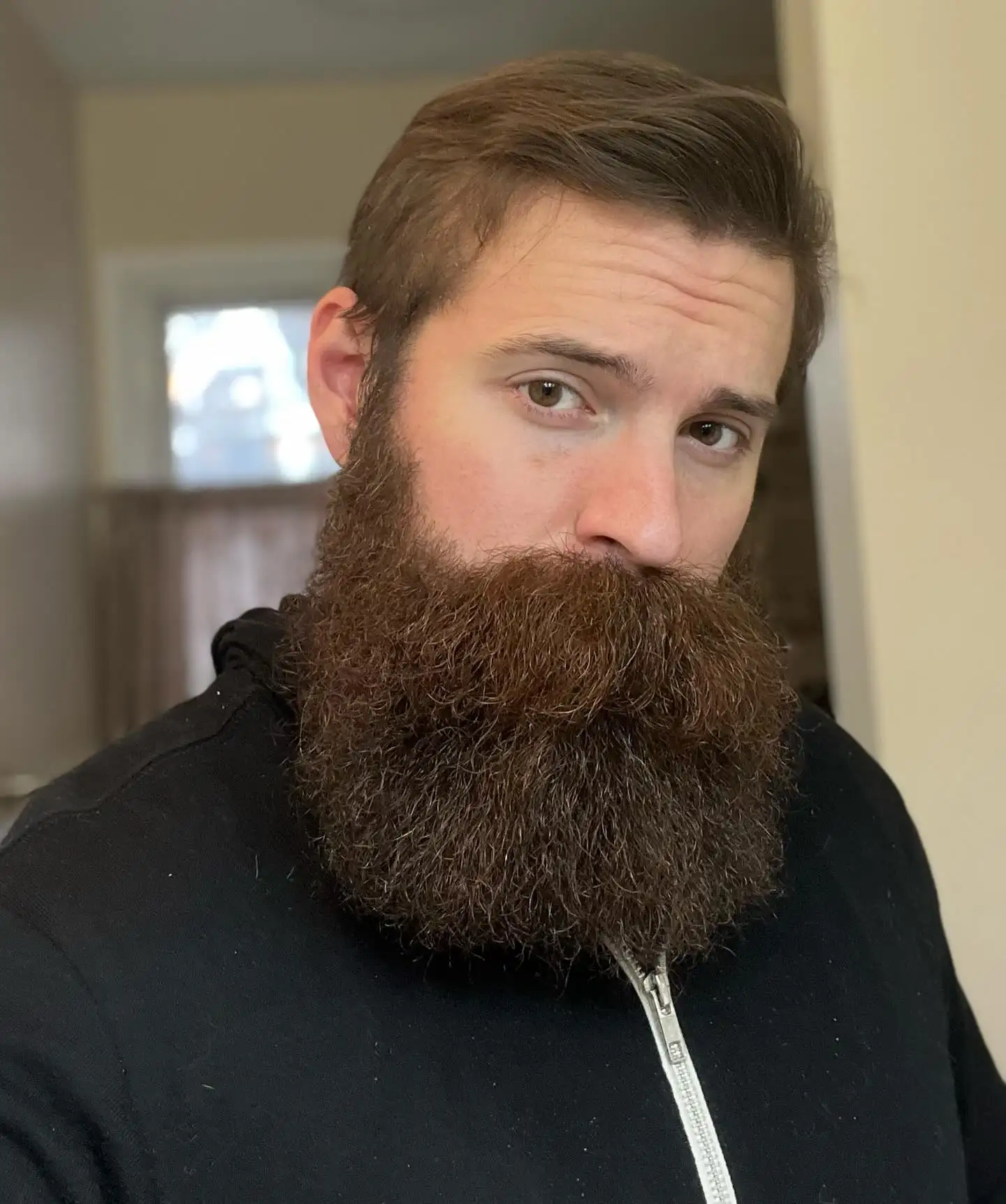 20 Long Beard Hairstyles for Men with Serious Style 17 The Rounded Brown Beard