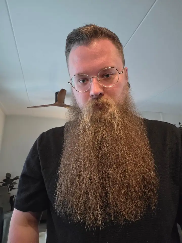 20 Long Beard Hairstyles for Men with Serious Style 7 The Tapered Point