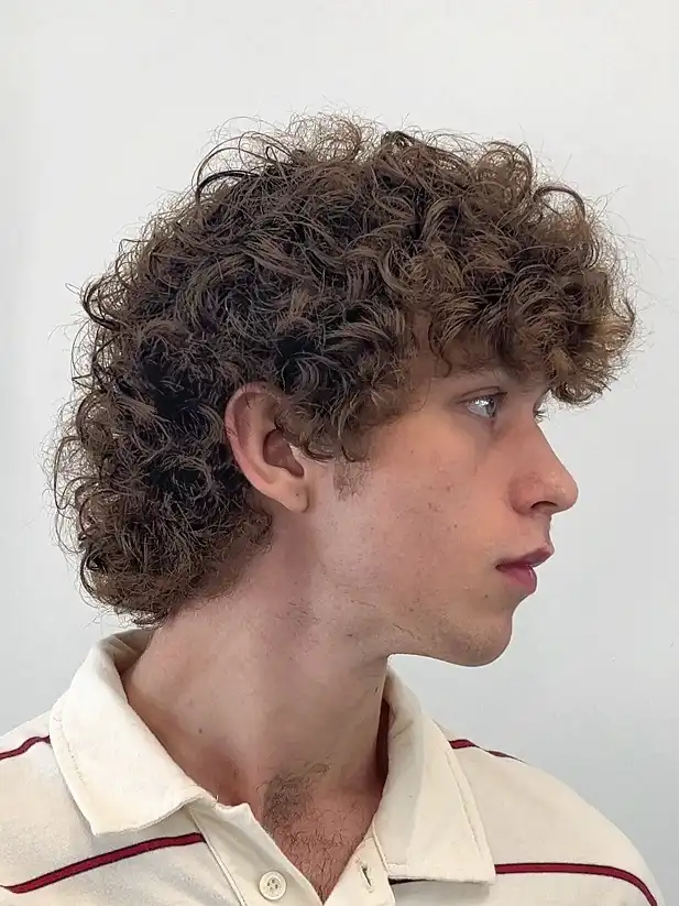 19 Wolfcut Hair for Men Styles Your Barber Will Actually Understand 6 Curly Wolf Cut Where the Texture Does the Work